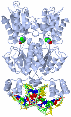 Image Biological Unit 1