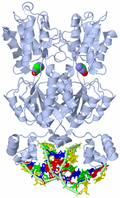 Image Biological Unit 1