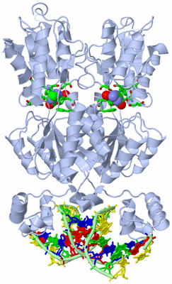 Image Biol. Unit 1 - sites