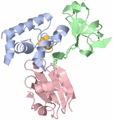 Image Biological Unit 1