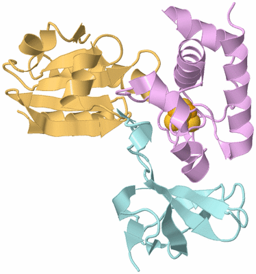 Image Biological Unit 2