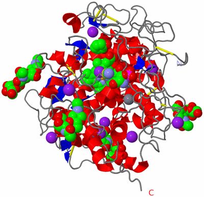 Image Asym./Biol. Unit