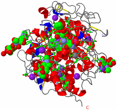 Image Asym./Biol. Unit - sites