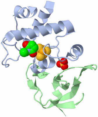 Image Asym./Biol. Unit