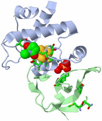 Image Asym./Biol. Unit - sites