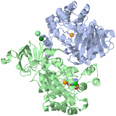 Image Asym./Biol. Unit