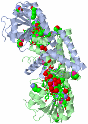 Image Asym./Biol. Unit - sites