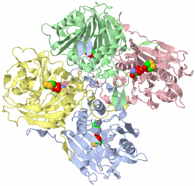 Image Asym./Biol. Unit