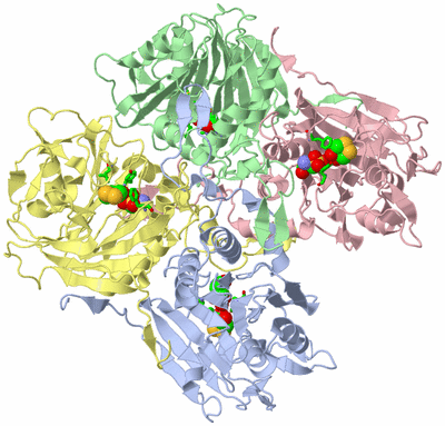 Image Asym./Biol. Unit - sites