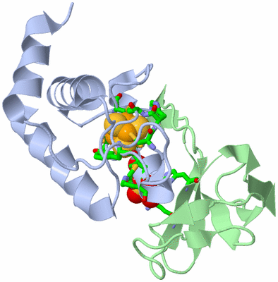 Image Asym./Biol. Unit - sites