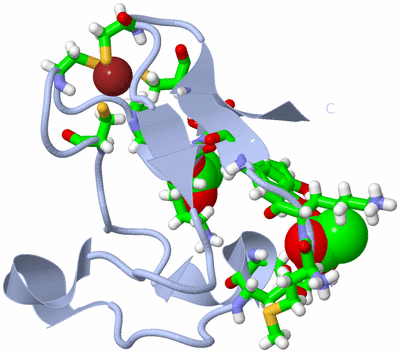 Image Biol. Unit 1 - sites