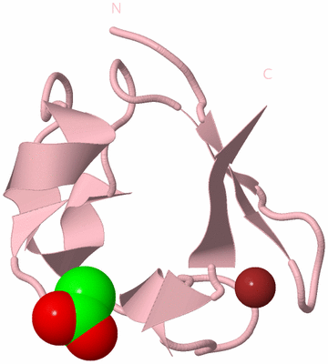 Image Biological Unit 3