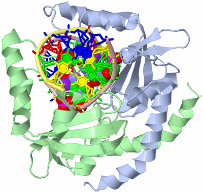 Image Asym./Biol. Unit