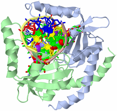 Image Asym./Biol. Unit - sites