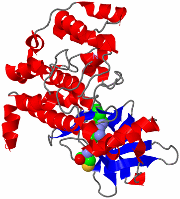 Image Asym./Biol. Unit