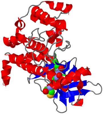 Image Asym./Biol. Unit - sites