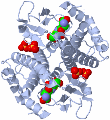 Image Biological Unit 1