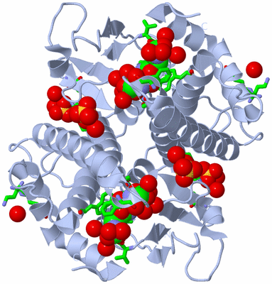 Image Biol. Unit 1 - sites