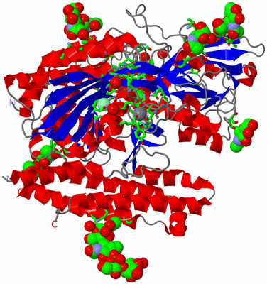 Image Asym. Unit - sites