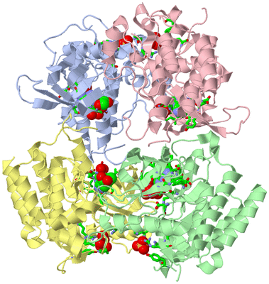 Image Asym./Biol. Unit - sites