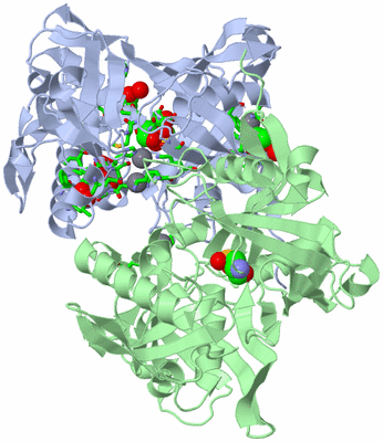 Image Asym./Biol. Unit - sites