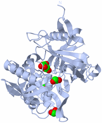 Image Biological Unit 3