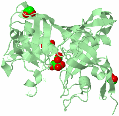 Image Biological Unit 4