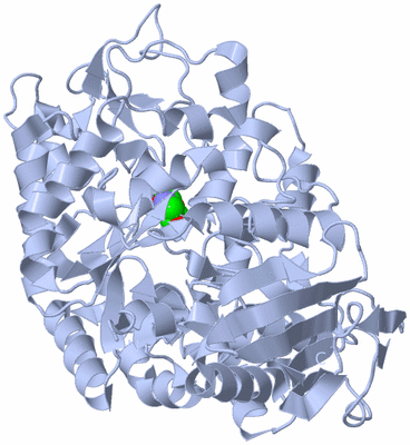 Image Biological Unit 1