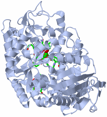 Image Biol. Unit 1 - sites