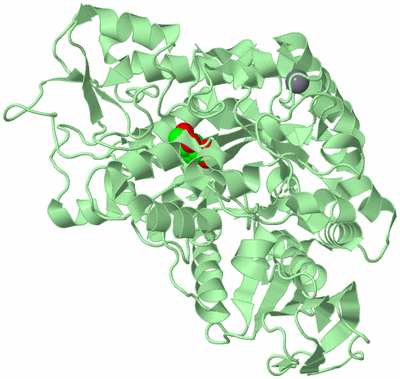 Image Biological Unit 2