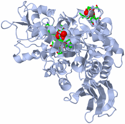 Image Biol. Unit 1 - sites