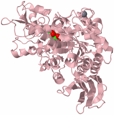 Image Biological Unit 3