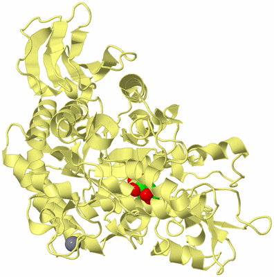 Image Biological Unit 4