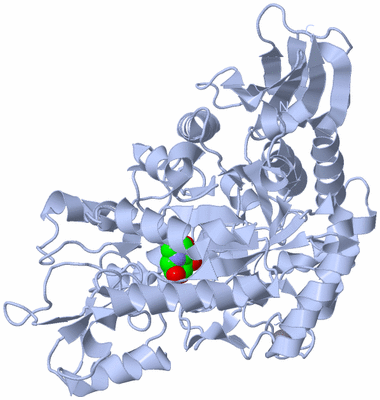 Image Biological Unit 1