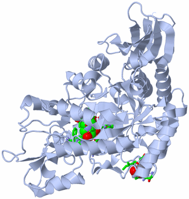 Image Biol. Unit 1 - sites