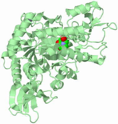 Image Biological Unit 2