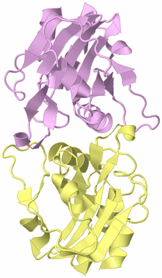 Image Biological Unit 3