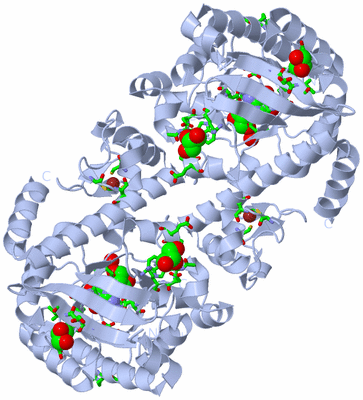 Image Biol. Unit 1 - sites