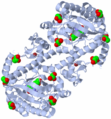 Image Biological Unit 1