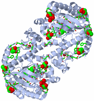 Image Biol. Unit 1 - sites