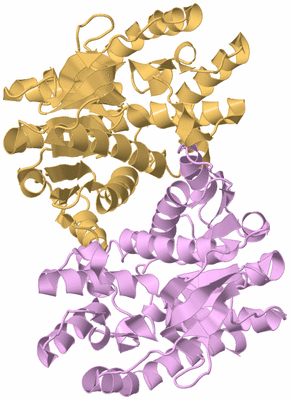 Image Biological Unit 2