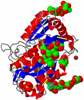 Image Asym./Biol. Unit