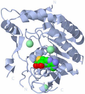 Image Biological Unit 1