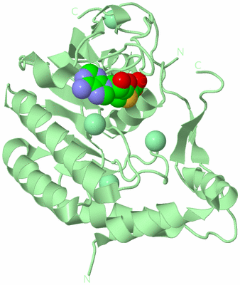 Image Biological Unit 2