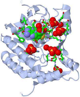 Image Biol. Unit 1 - sites