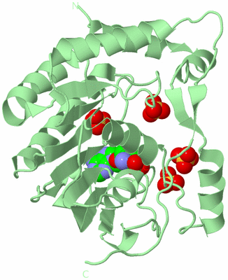 Image Biological Unit 2