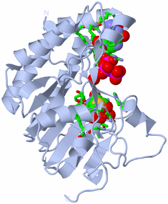 Image Biol. Unit 1 - sites