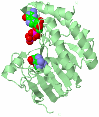 Image Biological Unit 2