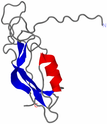 Image NMR Structure - model 1