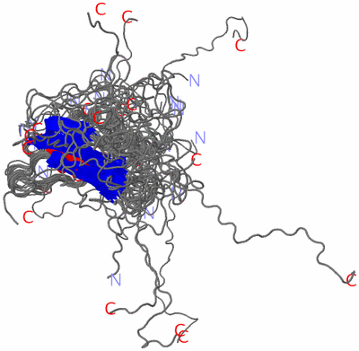 Image NMR Structure - all models